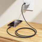 Cablu Borofone BX116 Certain 60W charging data cable C to C [Black]