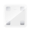 Cantar Electronic Hoco HI21 Smart body fat scale [White]
