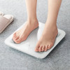 Cantar Electronic Hoco HI21 Smart body fat scale [White]