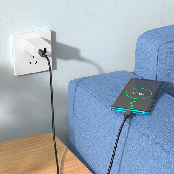 Cablu Hoco U109 Type-C To Type-C PD 100W Charging (1m) [Black]