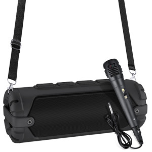 Boxa Portabila NewRiXing NR-6013M [Black]