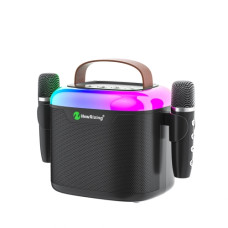 Boxa Portabila NewRiXing NR-8805W [Black]