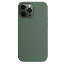 Husa Screen Geeks Magsafe Silicone Case Iphone 13 Pro Max [Eucalyptus]