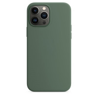 Husa Screen Geeks Magsafe Silicone Case Iphone 13 Pro [Eucalyptus]