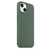 Husa Screen Geeks Magsafe Silicone Case Iphone 13/14 [Eucalyptus]