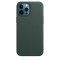 Husa Screen Geeks Leather Apple iPhone 12 Pro Max [Green]
