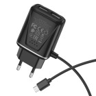 Зарядное устройство Borofone BA50A Beneficence + Кабель Micro USB (2.1A) [Black]