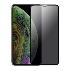 Защитное стекло Screen Geeks Apple iPhone 11 Anti-Spy All Glue [Black]